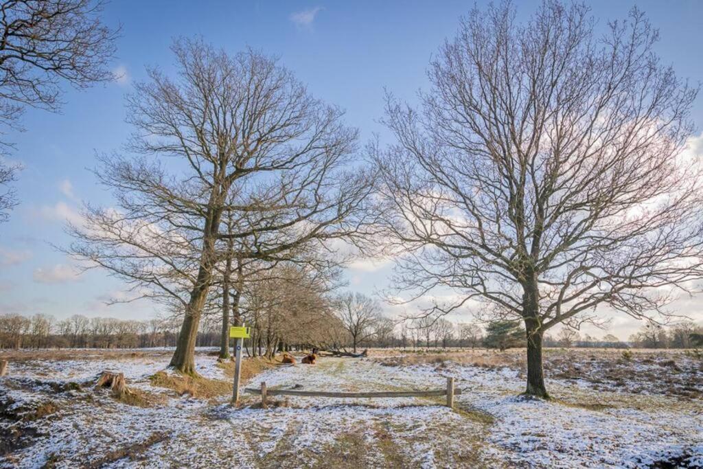 Leva - Logeren In Drenthe Villa Doldersum Buitenkant foto