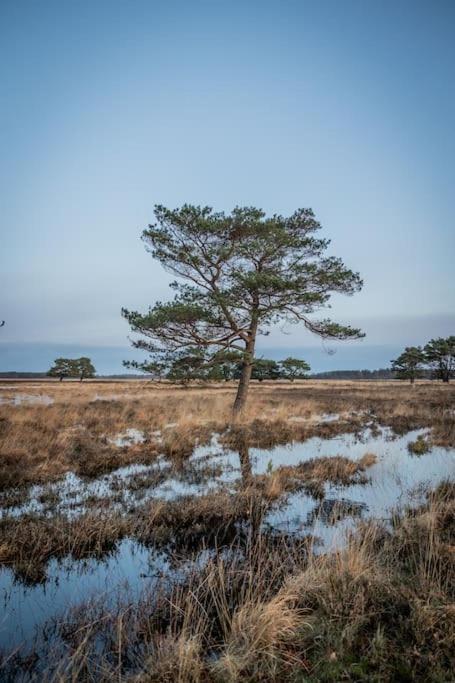 Leva - Logeren In Drenthe Villa Doldersum Buitenkant foto
